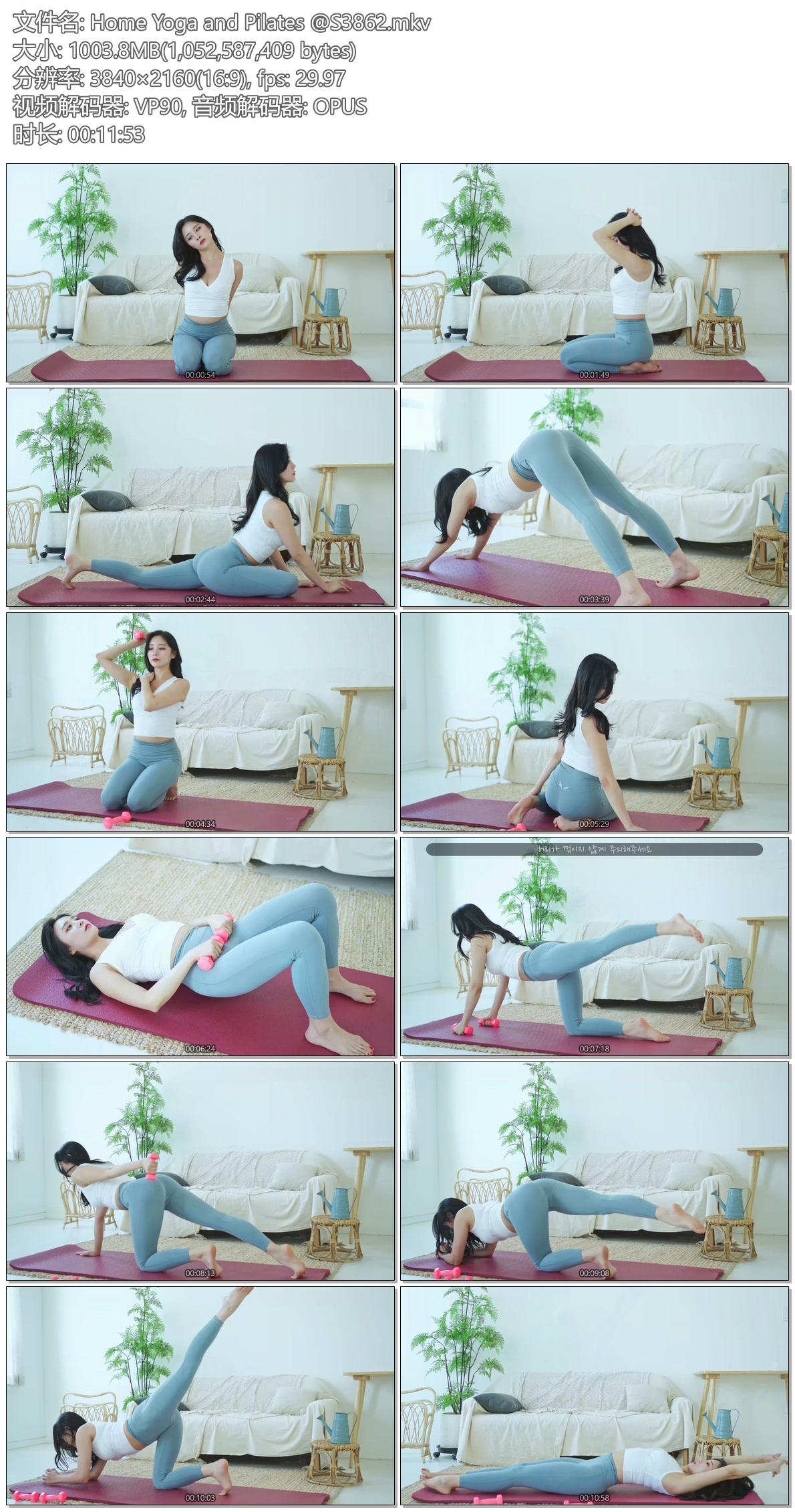 Home Yoga and Pilates @S3862.mkv.jpg